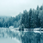 Testtesttest