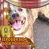 Турист-93176